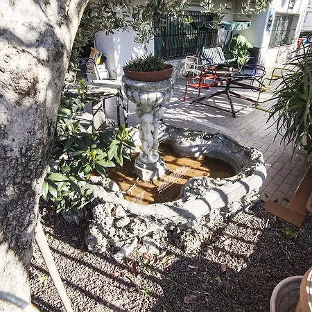 Colibri Family & Bike