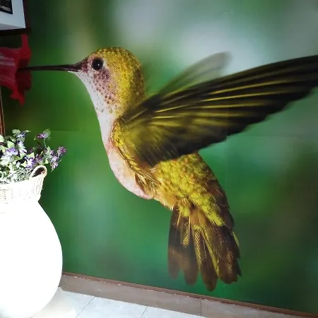 Colibri Family & Bike Лоано